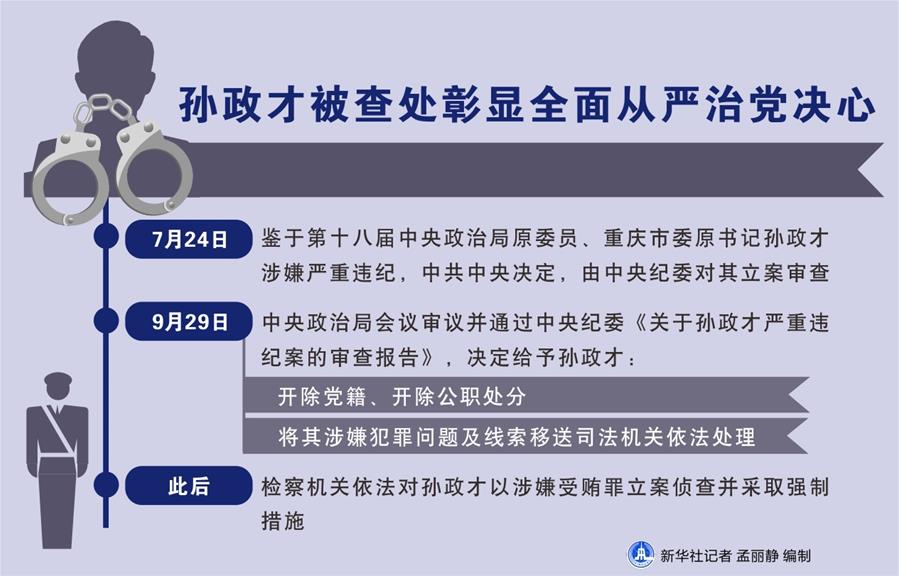 孙政材最新消息及涉政问题深度解读