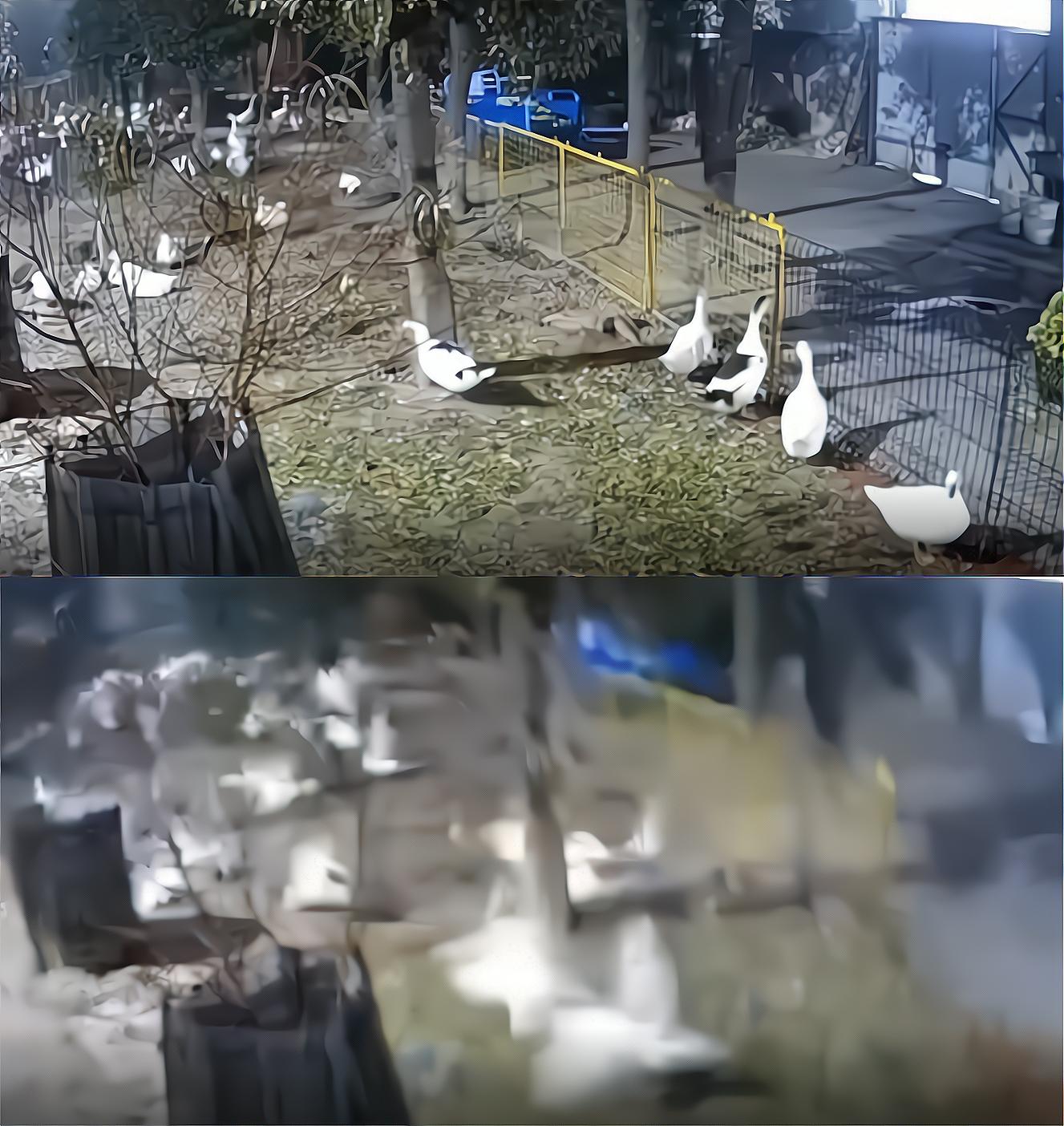 松原昨天地震最新消息,新闻动态及更新概况