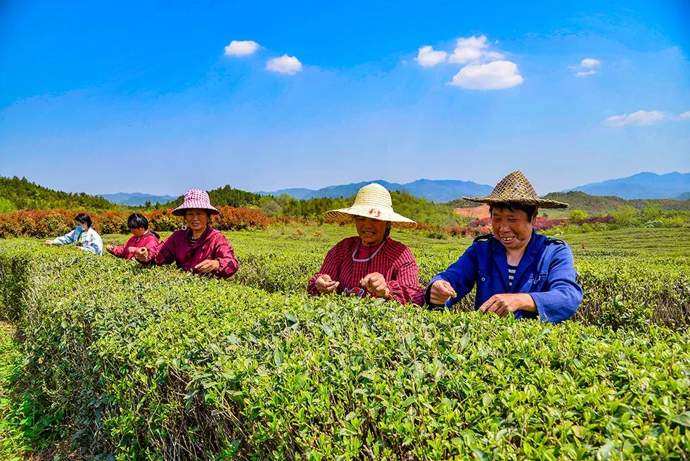 天华阳光股价最新动态与消息更新