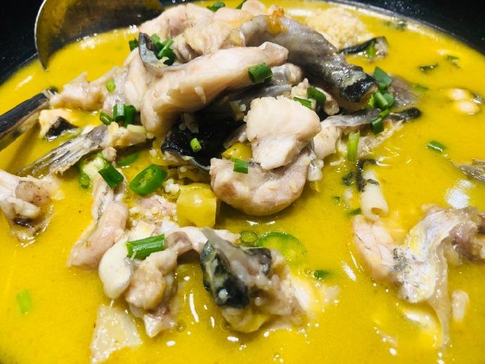 长沙与郑州,最新深度对比分析