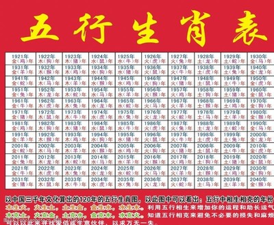 香港正版2024年生肖号码表图,综合解答解释落实_Premium98.706