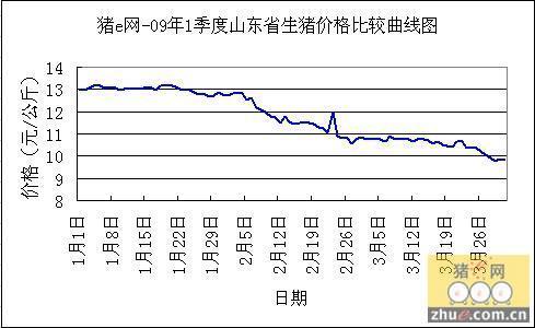 临沂今日生猪价格更新，最新报价及市场动态