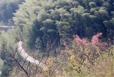 鹬蚌相争 第8页