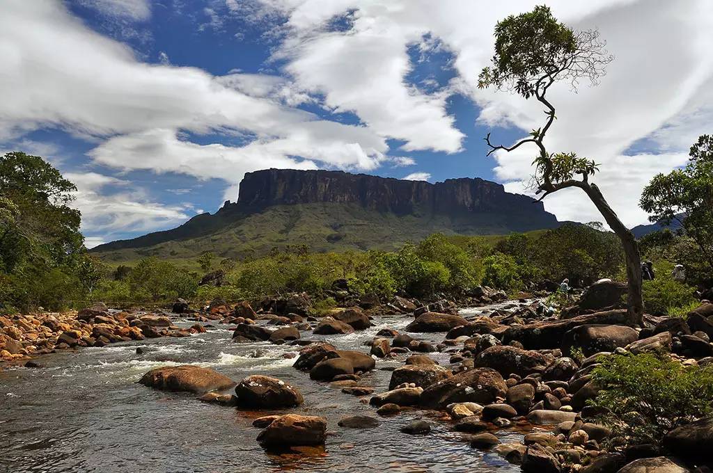 管家婆204年资料一肖配成龙,动态研究解答解释方法_稀缺版88.127
