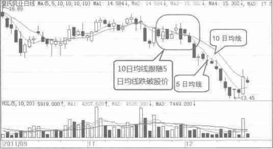 新澳门一码一肖一特一中202,高效解析方法_10DM54.222