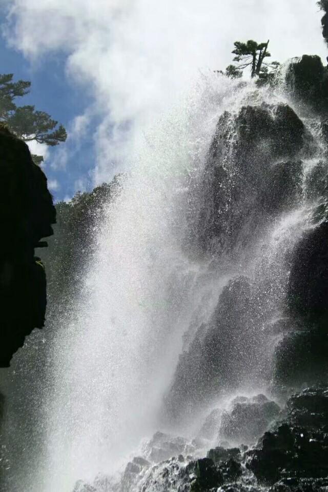 龙凤呈祥_1 第7页