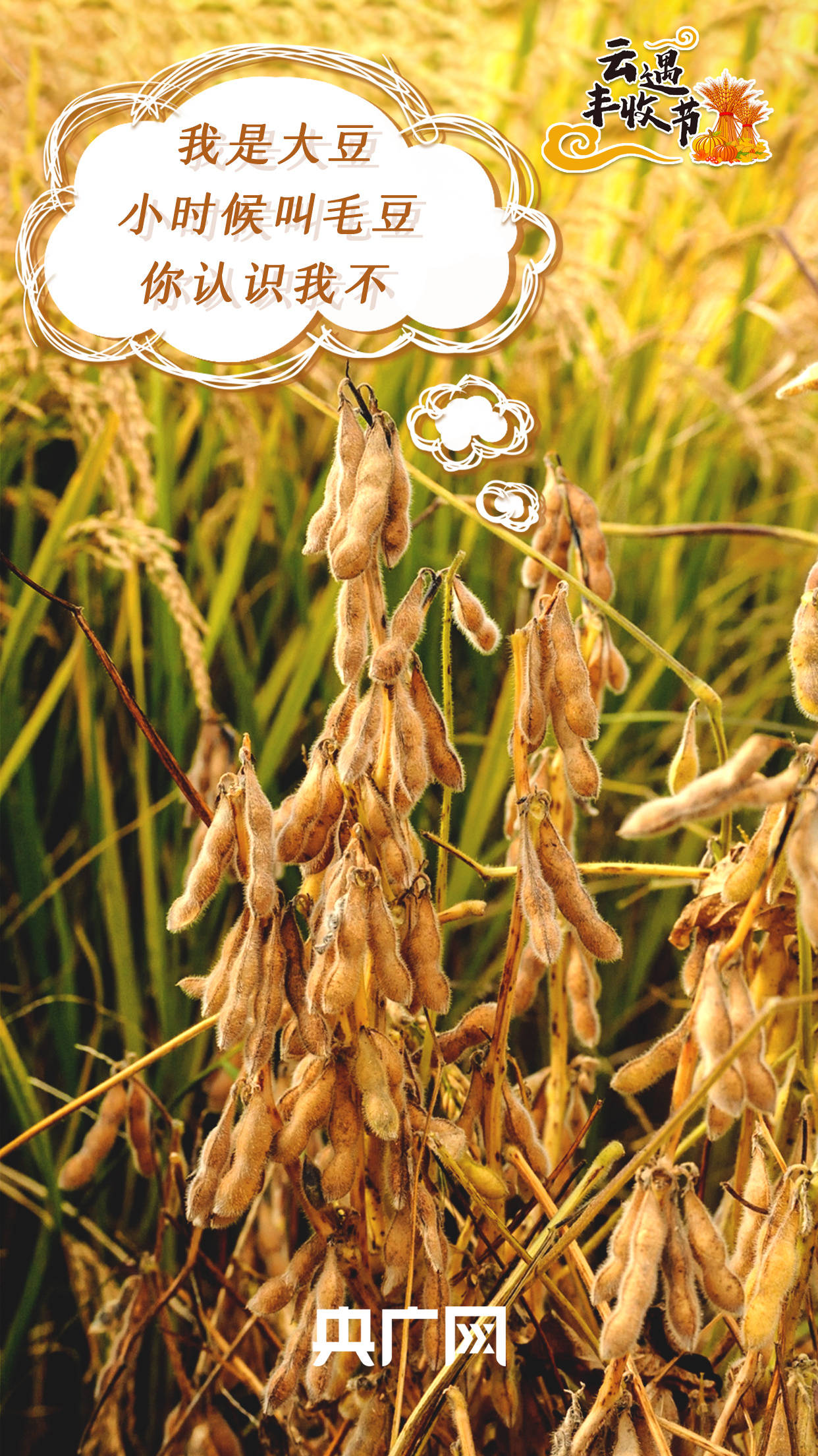 鹿死谁手 第7页