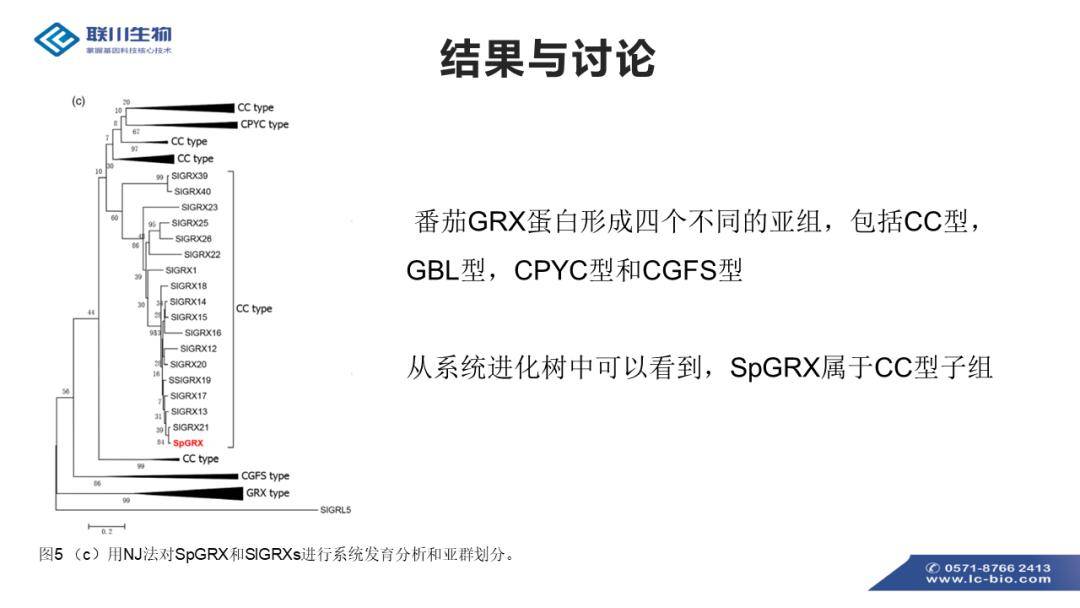 2024正版资料免费分享，YNQ831.2定义与研究新解