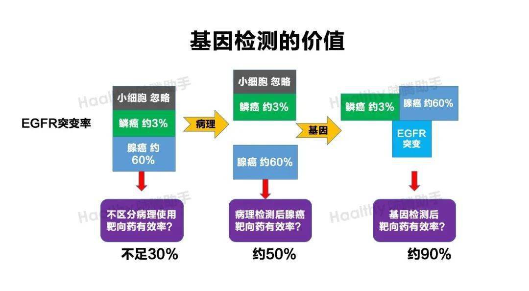 新澳精准数据免费共享平台，决策信息落地_极致版KTX927.92