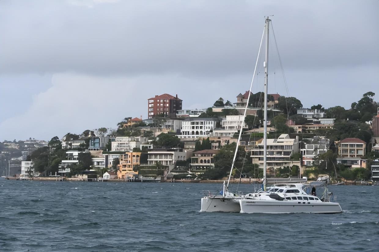 明日黄花 第5页