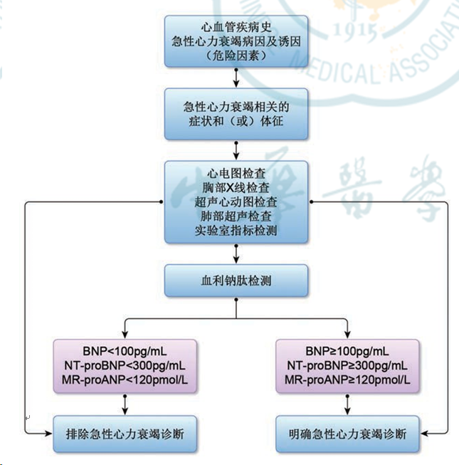 优柔寡断 第3页