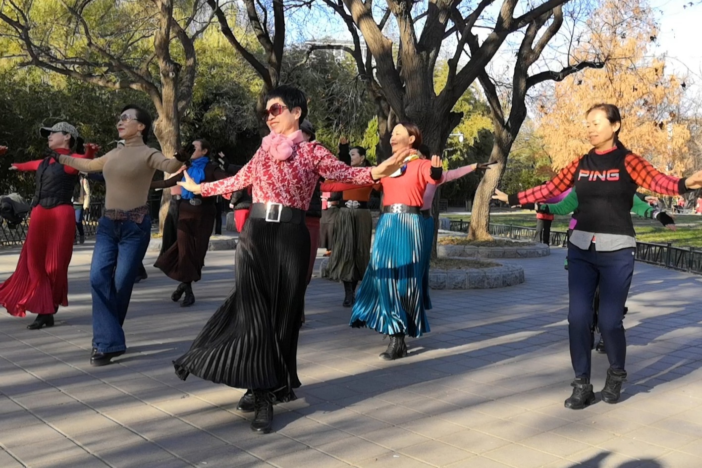 紫竹院广场舞最新现象,多元视角下的探讨