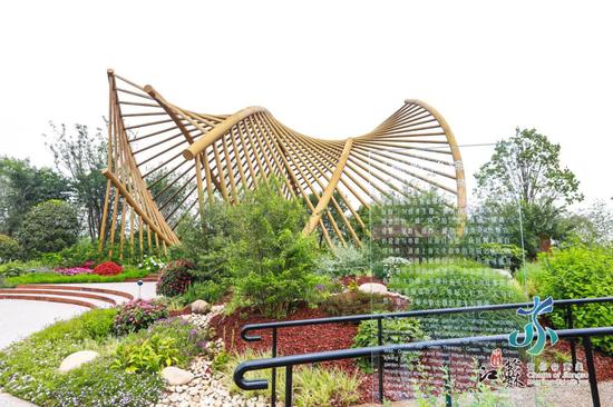 金星星直播,探索金星世界的奥秘与魅力