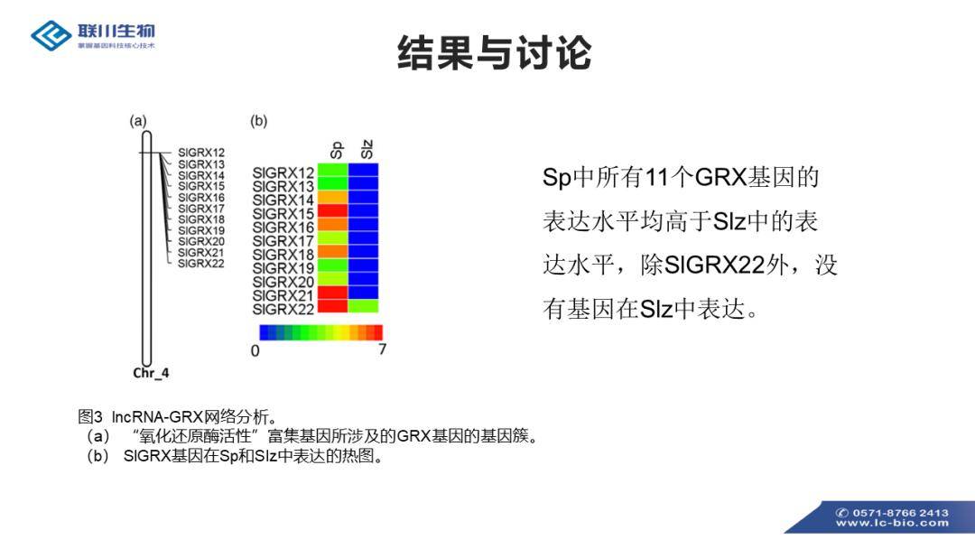 新澳精准资料免费分享第219期:简易ERK814.62解析指南
