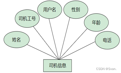 “2024年澳门精准跑狗图系统方案设计：PJX68.819多媒体版解析”