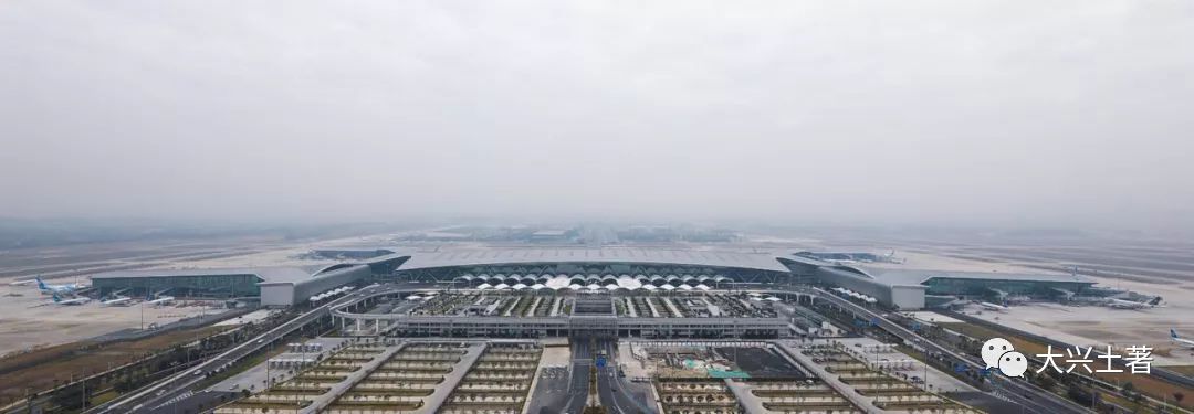 大岗机场最新动态闪耀发布!