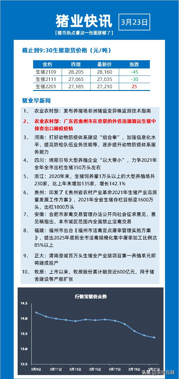 惠州生猪最新猪价，一场寻找内心平静的生态之旅