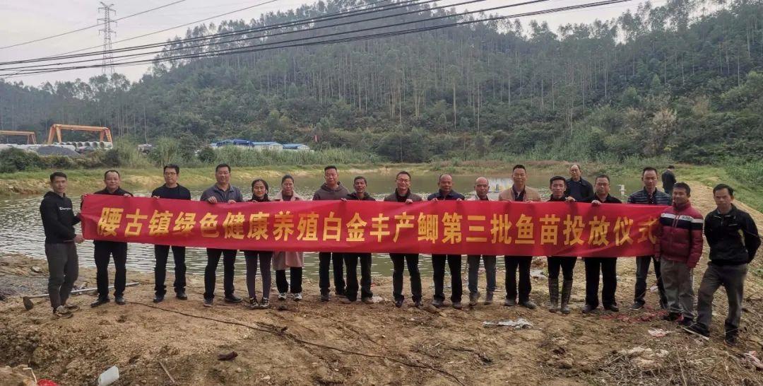 儿童课程直播,科技引领未来教育新篇章