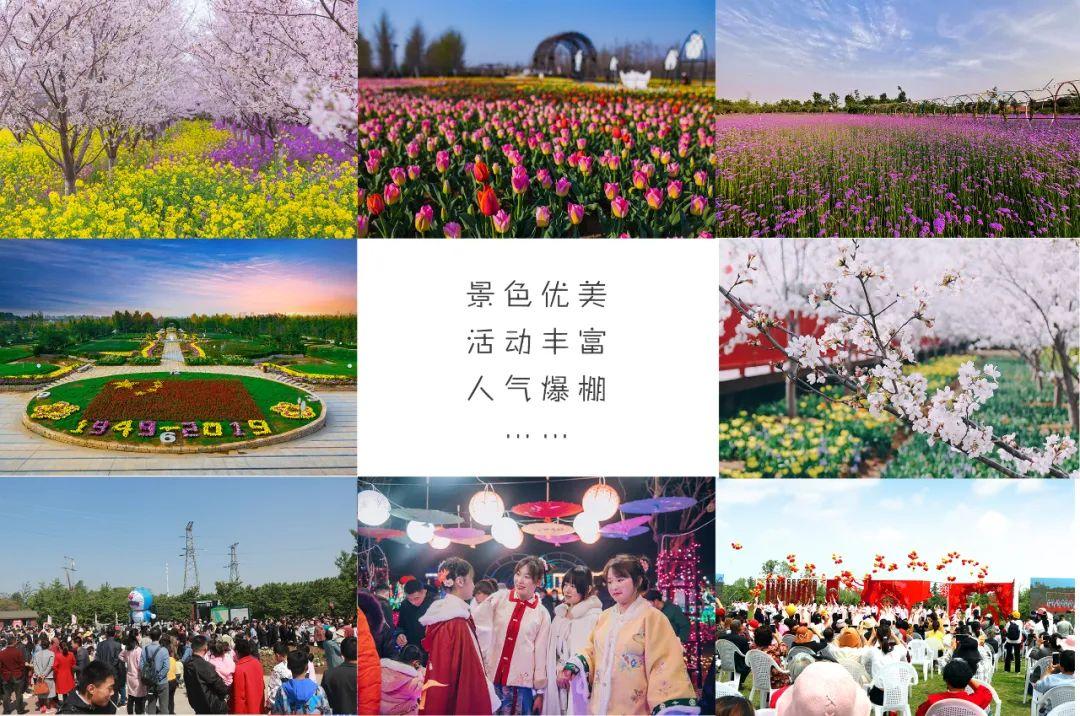 最新沂水女子征婚,现代婚恋观的深度探讨