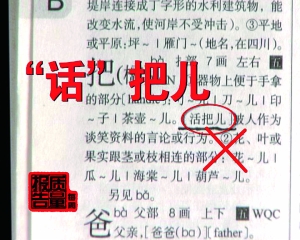 澳门三肖三码精准100%新华字典,实地观察解释定义_DUQ79.481社交版