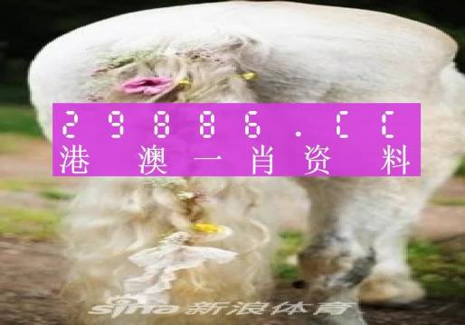 今晚四不像必中一肖图118,实用性解读策略_OME79.415透明版