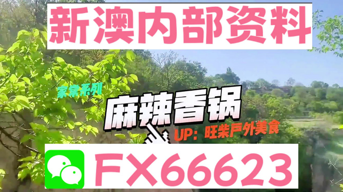 新澳资料网站好彩网,动态解读分析_DSG35.251绝版