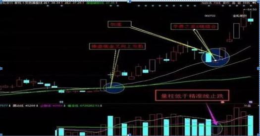 金轮股份最新行情，行业趋势、市场表现与前景展望