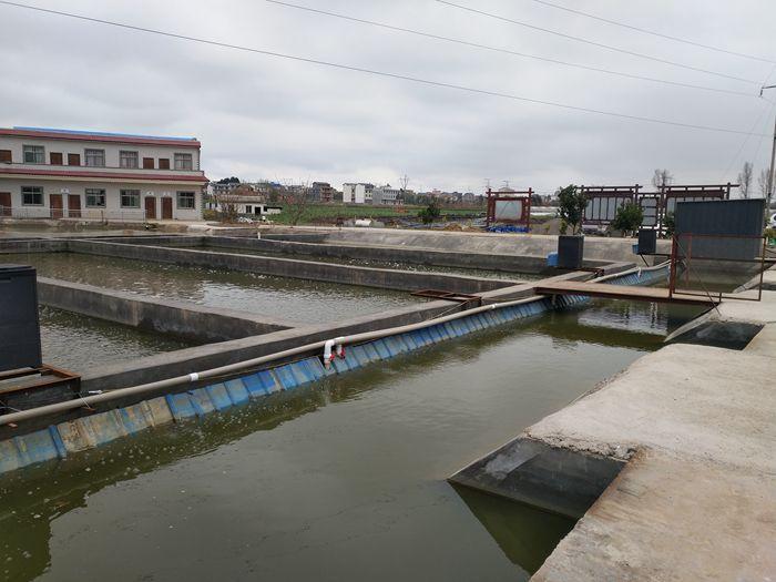 最新流水养鱼方式技术🐟✨