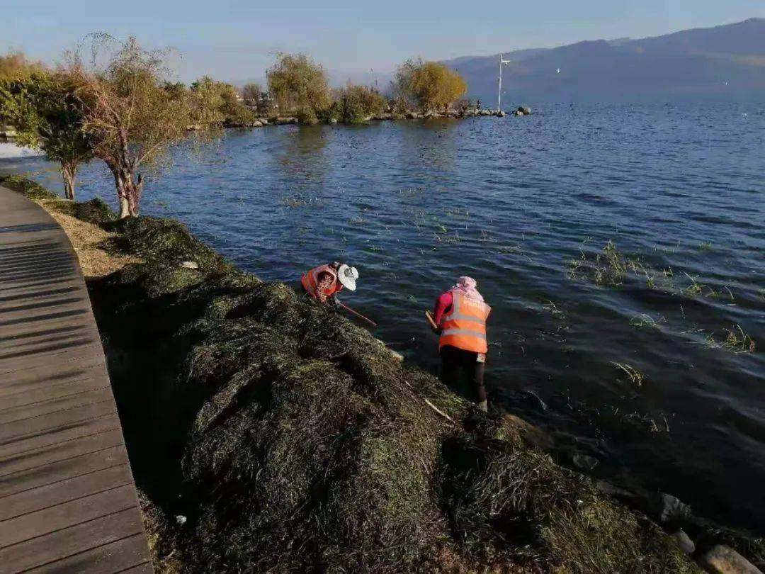 两小无猜 第2页