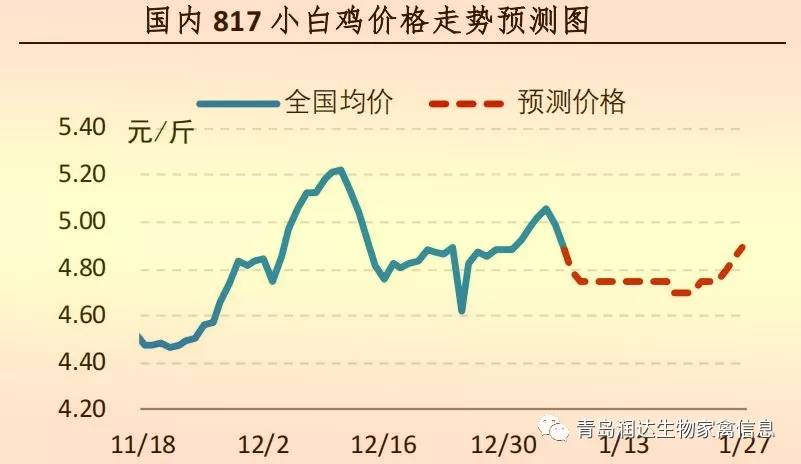 鸡肉的价格最新行情今日，市场走势与多元因素探讨