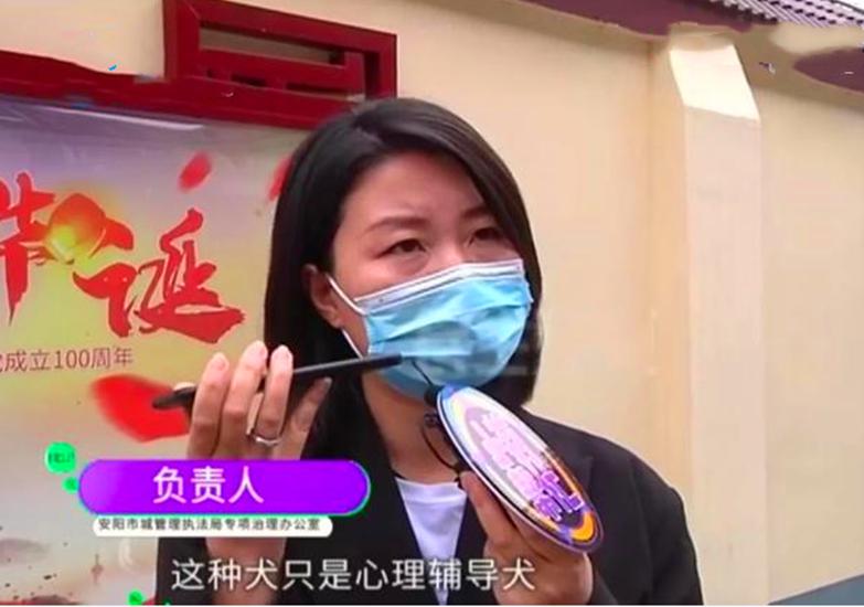 小莉帮忙最新节目回顾，学习变化，自信成就，一路向前