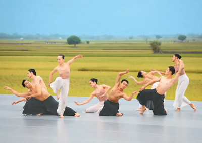 最新禾舞蹈表演，一场自然美景之旅的鼓舞与启示