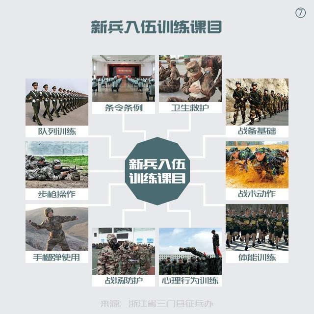 宋寿金最新动态，全方位解读与观点阐述