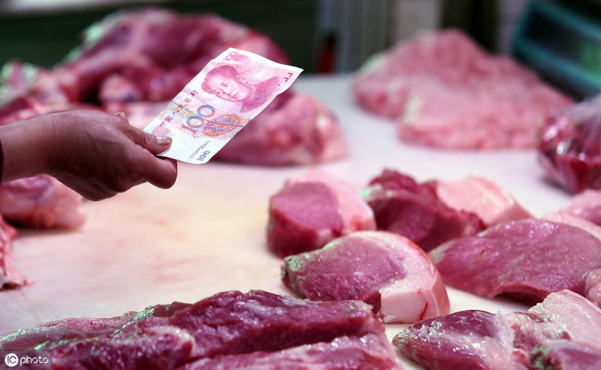 温氏最新猪肉价格，时代的印记与市场的波动