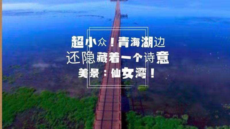 奉新冯田，招聘信息与自然美景的诗意碰撞