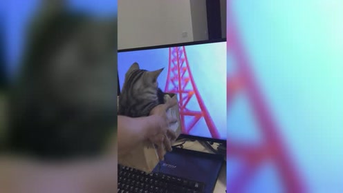 vivo最新喊麦达人小野哥，科技风潮的新领军者