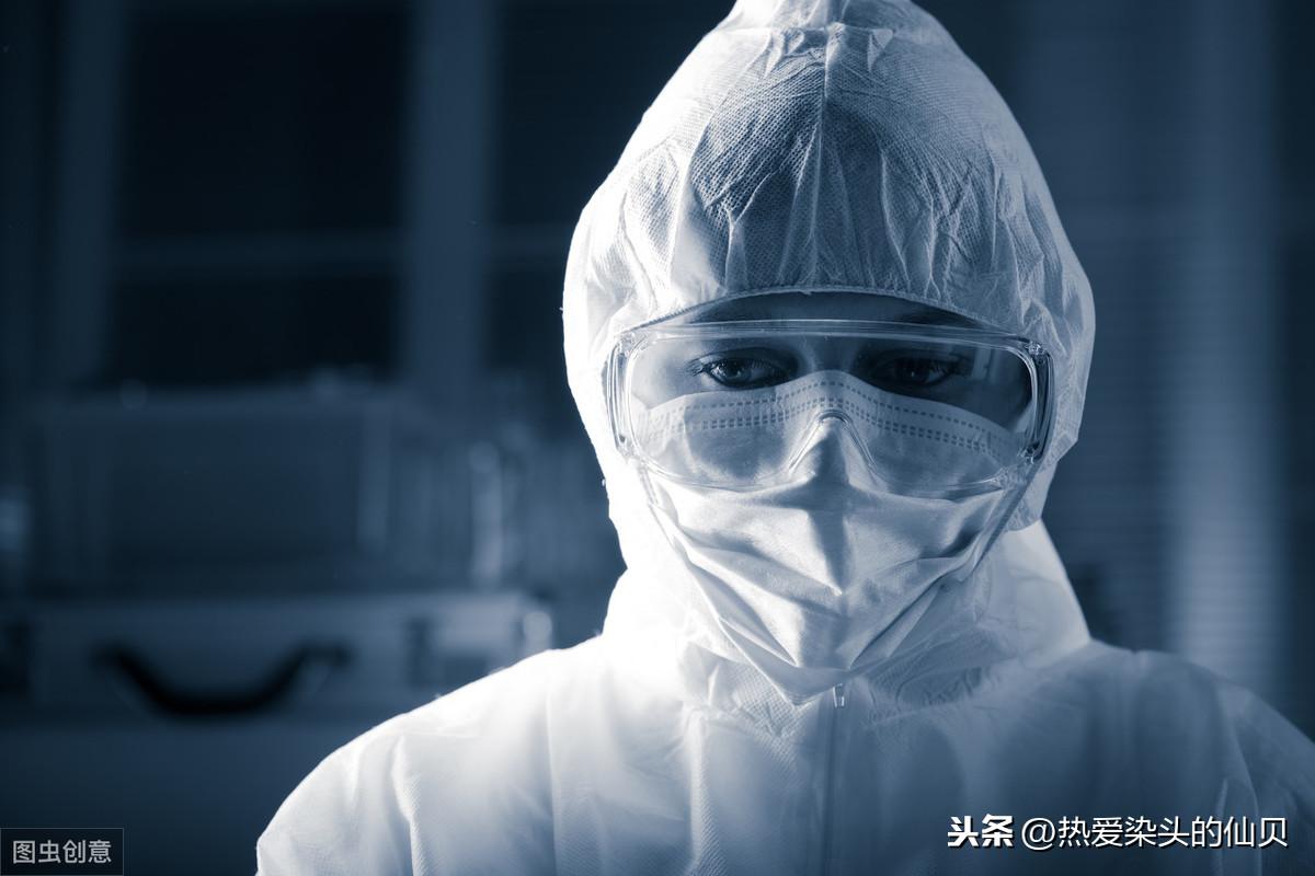 动物动漫画，一种跨越界限的艺术表现