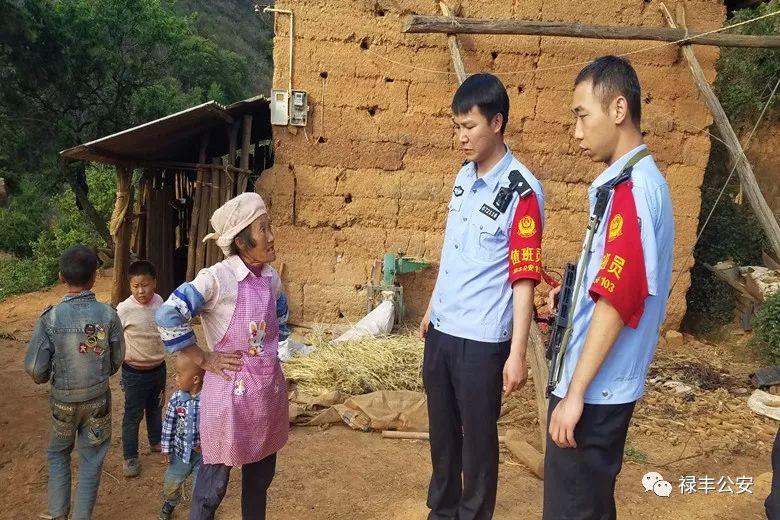 2025年3月 第102页