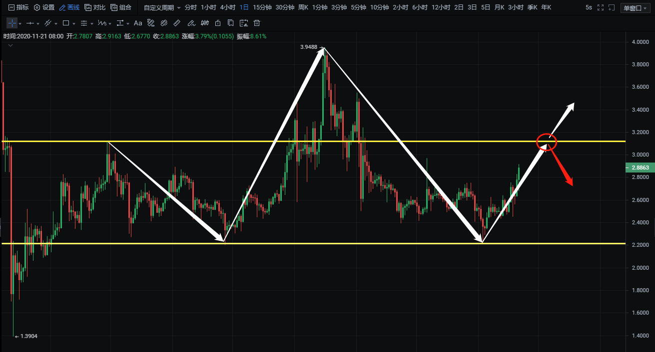 柚子价格，市场走势下的多元观点探讨
