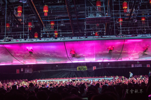 一龙最近比赛，自然之旅的心灵觉醒