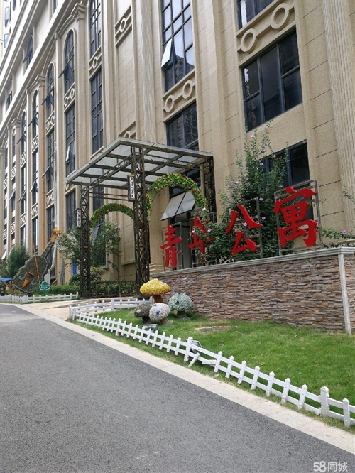 宁远金水湾最新动态，小巷中的惊喜发现