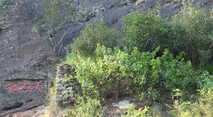 中国十大名茶最新排名，茶叶中的励志故事