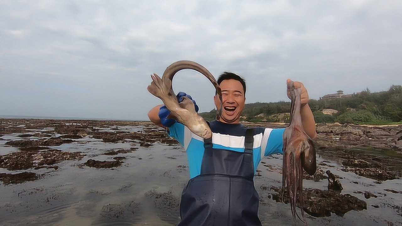 阿聪最新赶海趣事