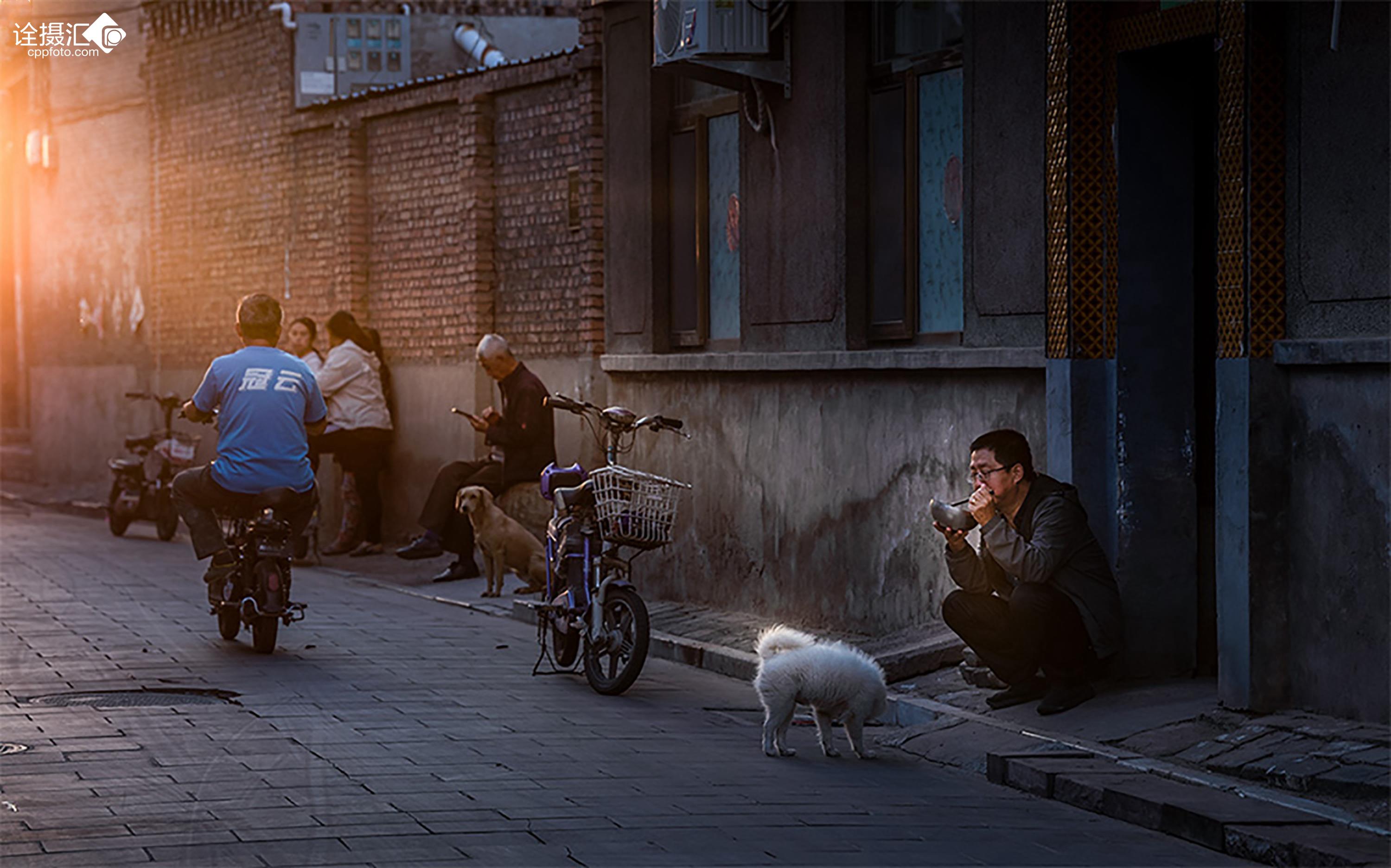 侯霄霖新作品，城市巷弄里的温情日常