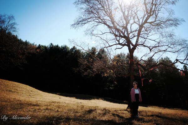 名字四个字的演员，探寻自然美景之旅