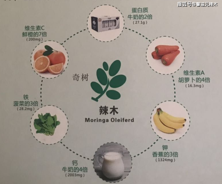 辣木酒的价格与我们的友情故事