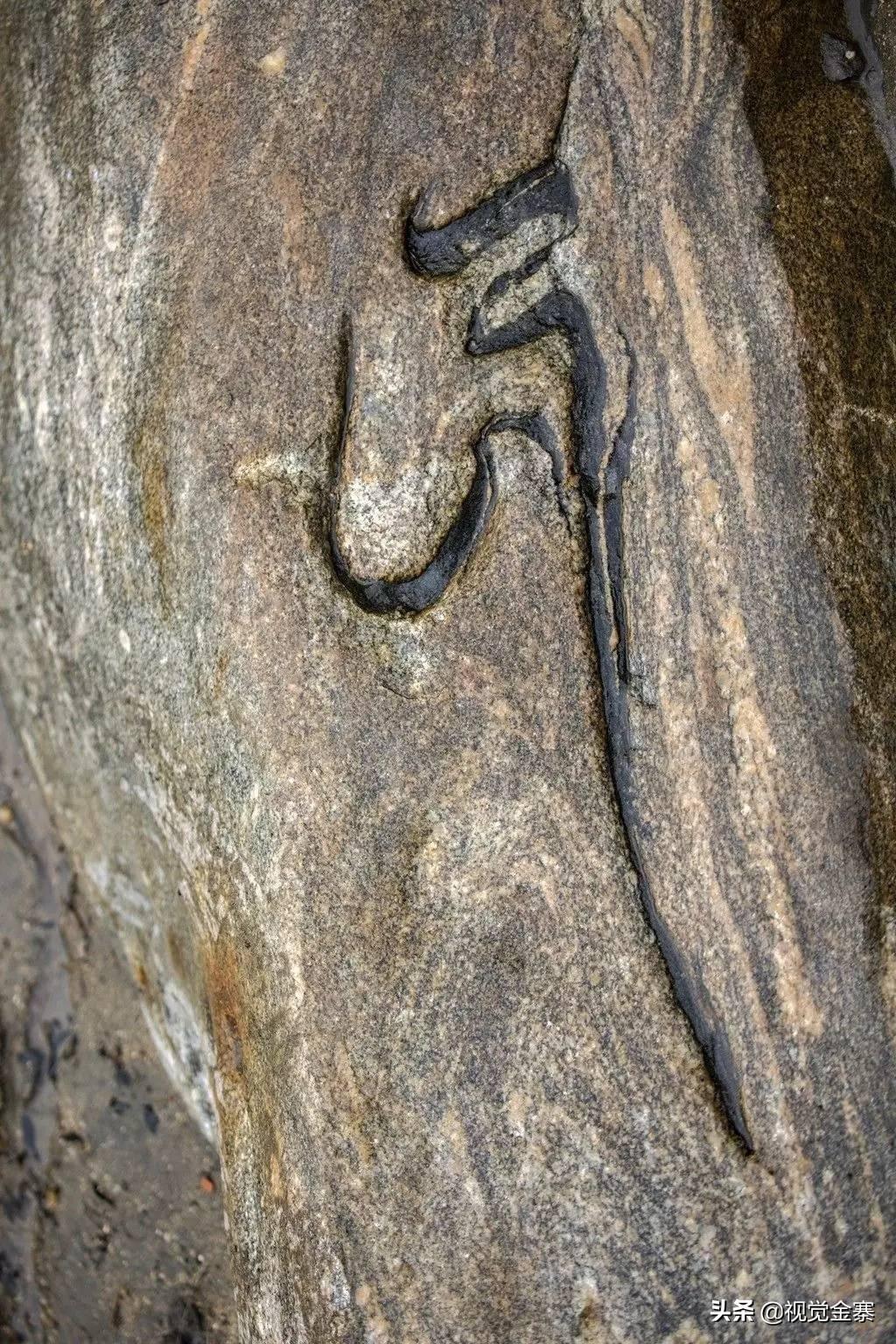 阜阳最新改造，城市焕新颜，发展再提速