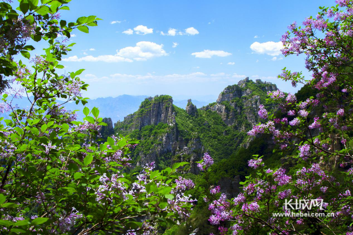 河北最新甜，一场自然美景的旅行探索