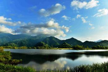 神龙架最新，探索自然奥秘，领略生态魅力