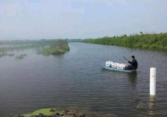 最新虾价，一场探索自然美景的旅行，寻找内心的平静与喜悦